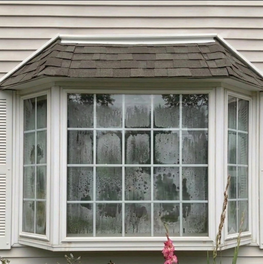 Failed IGU Seal / Fogged Glass